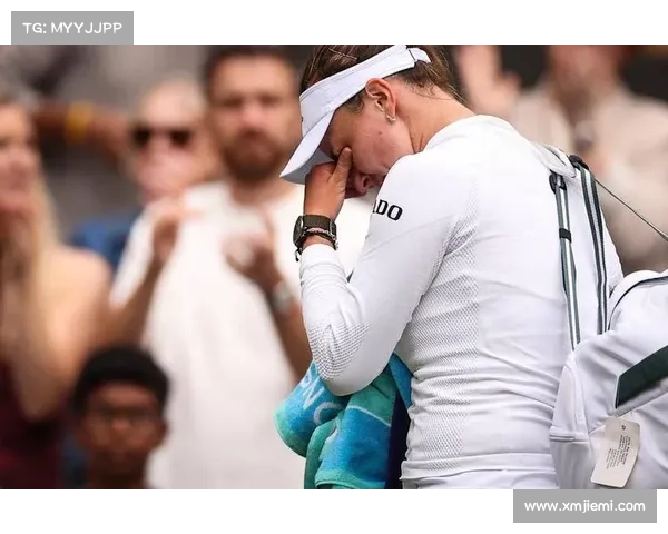 温网中心球场屋顶升级与雷恩公园社区球场扩容工程计划启动